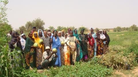 Site de la coopérative des femmes sur un périmètre maraîcher villageois