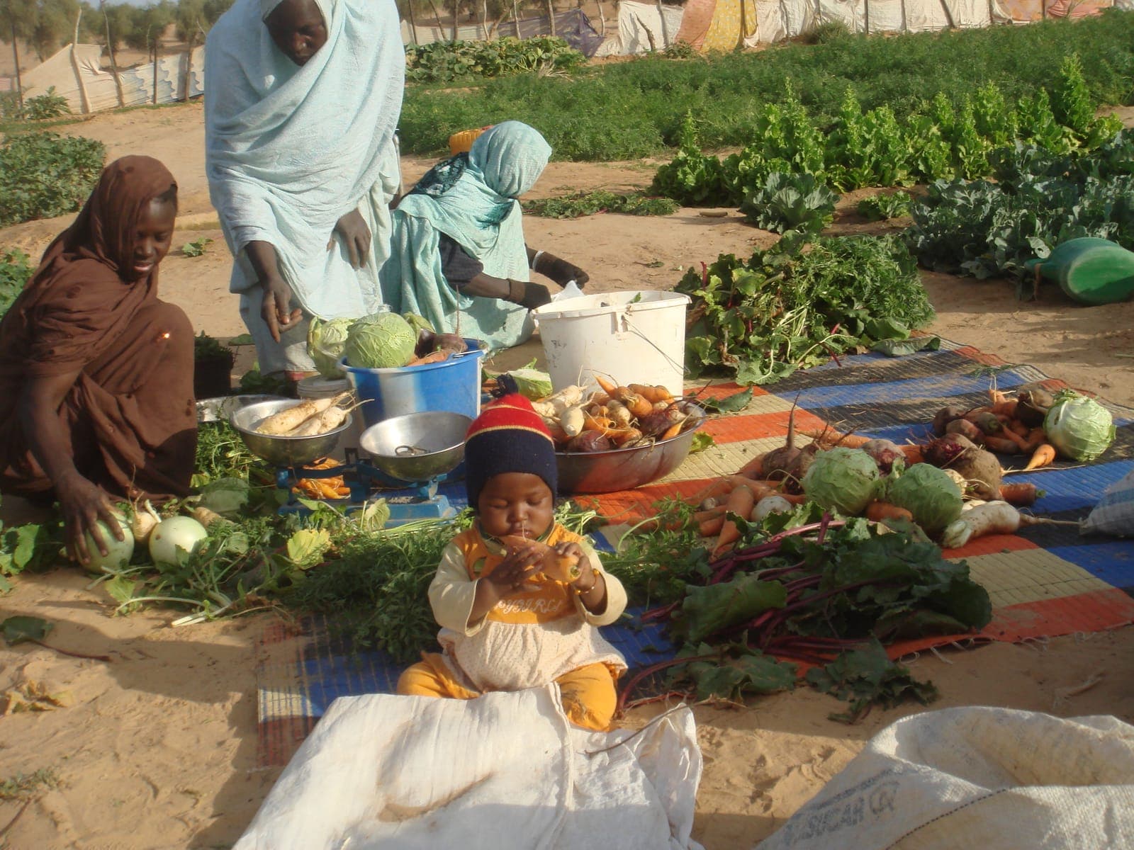 Alimentation nutritionnelle pour les enfants