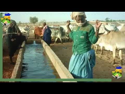 Vidéo Boumouzouna – Brève présentation des activités de l'ONG AFE en Mauritanie (français)