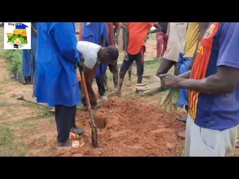 Restauration des espèces et des milieux – Production de 40 000 plants d'acacia sénégalais dans des pépinières villageoises (FAO GCP/MAU/001/GFF)