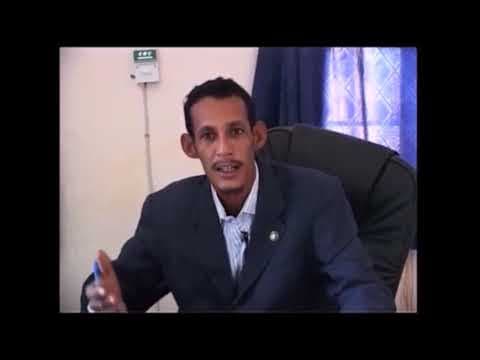 Projet Seif El Wad – Agriculture, ONG AFE Mauritanie