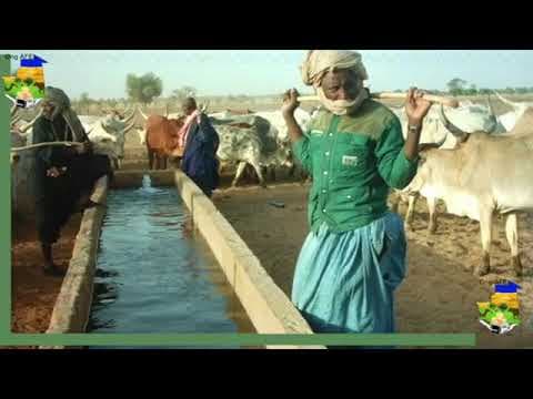 Présentation de l'ONG Agir en Faveur de l'Environnement (ONG AFE) en Mauritanie